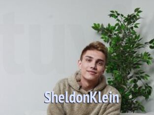 SheldonKlein