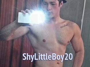 ShyLittleBoy20