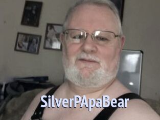 SilverPApaBear