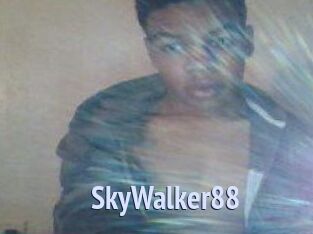 SkyWalker88