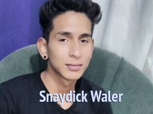 Snaydick_Waler