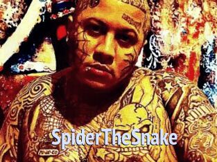 SpiderTheSnake
