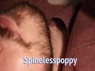 Spinelesspoppy