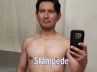 Stampede