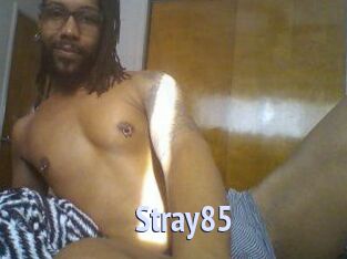 Stray85