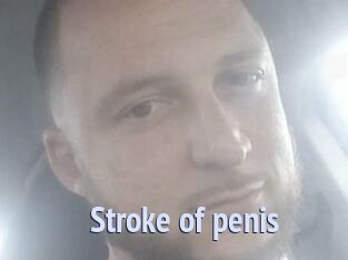 Stroke_of_penis