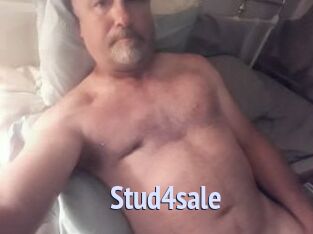 Stud4sale