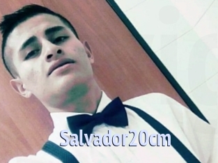 Salvador20cm