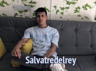 Salvatredelrey