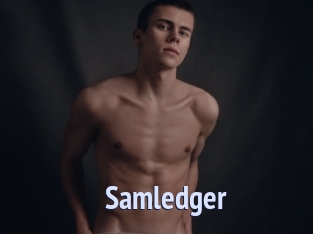 Samledger