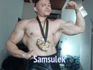 Samsulek