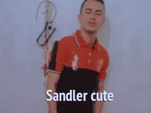 Sandler_cute
