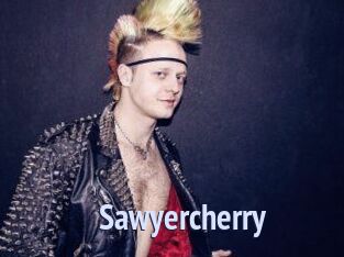 sawyercherry Tube video gay