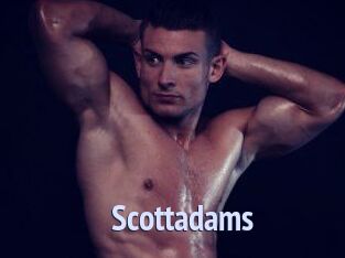Scottadams
