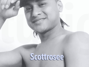 Scottrosee