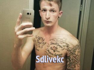 Sdlivekc