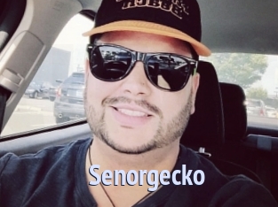 Senorgecko