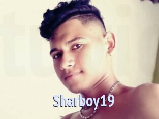 Sharboy19