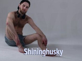 Shininghusky