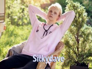 silkydave Tube video gay