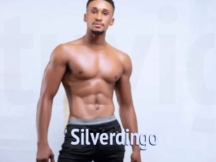 silverdingo Tube video gay