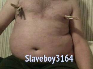 Slaveboy3164