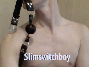 Slimswitchboy