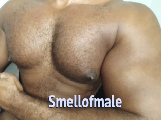 Smellofmale