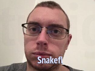 Snakefl