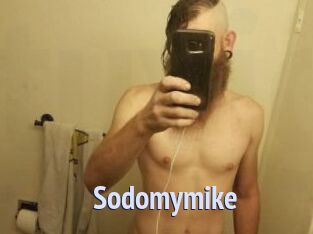 Sodomymike