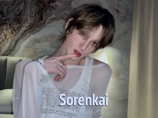 sorenkai Tube video gay