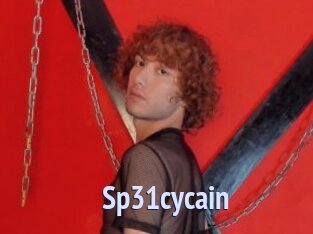 Sp31cycain