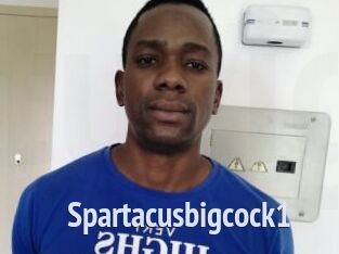 Spartacusbigcock1
