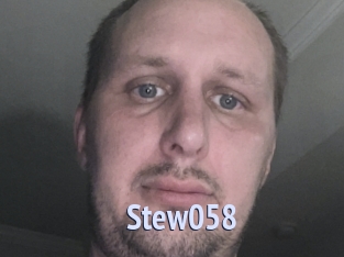 Stew058