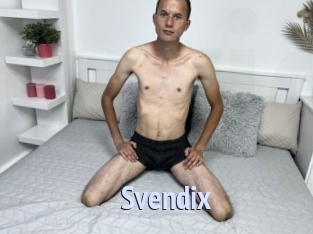 Svendix