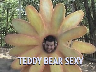 TEDDY_BEAR_SEXY