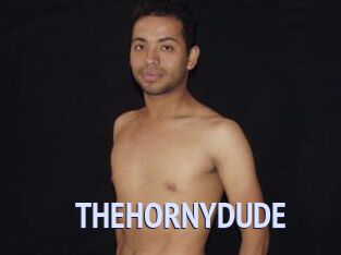 THEHORNYDUDE