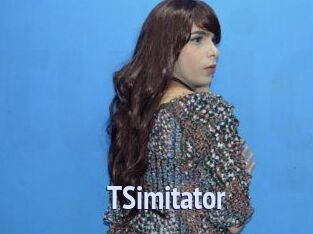 TSimitator