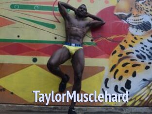 TaylorMusclehard