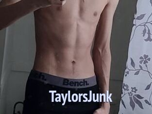 TaylorsJunk