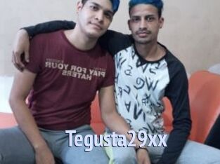 Tegusta29xx