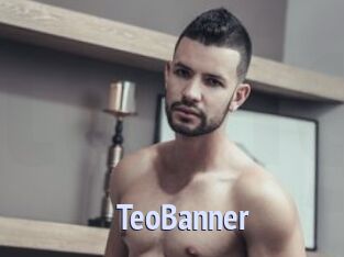 TeoBanner