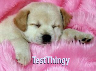 TestThingy