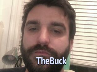 TheBuck Tube video gay