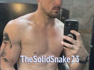 TheSolidSnake23