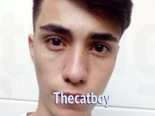 Thecatboy