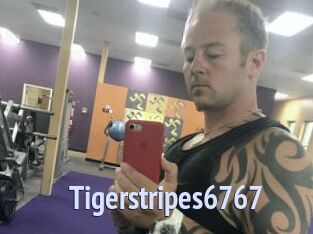 Tigerstripes6767