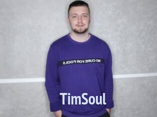 TimSoul