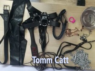 Tomm_Catt