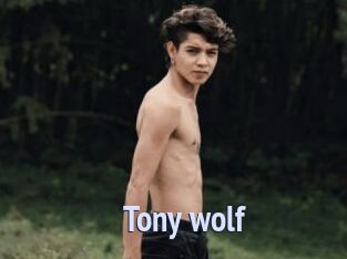 Tony_wolf